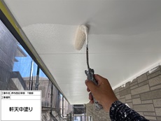 軒天（中塗り）