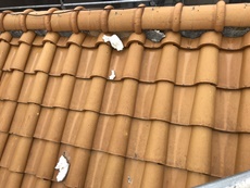 屋根の漆喰も剥がれてきてます。	