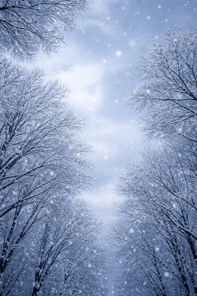 2月でも塗装できる？気温、湿度の見極めポイント🎶