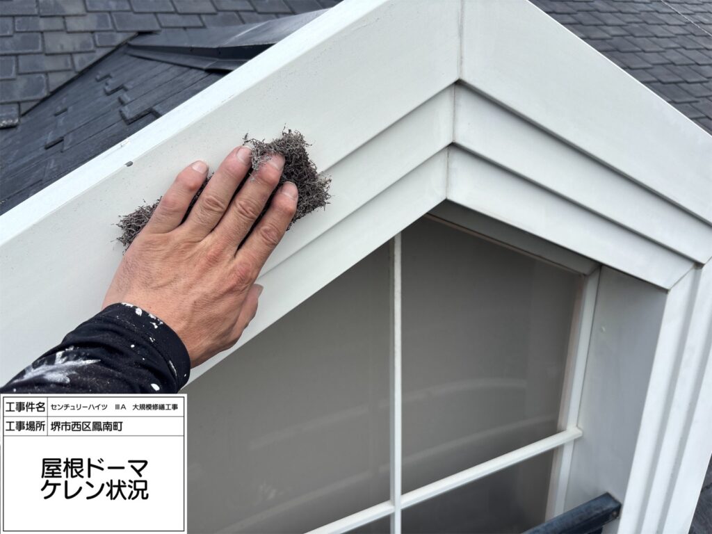 屋根ドーマ（ケレン）