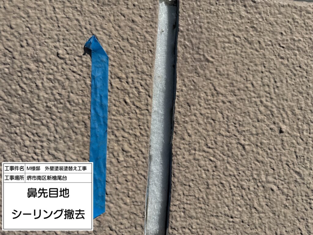 鼻先目地（撤去）
