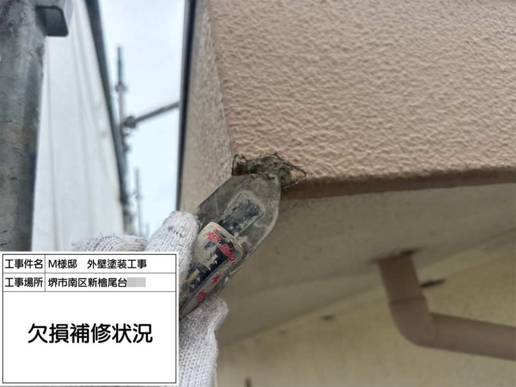 軒天井（欠損補修）