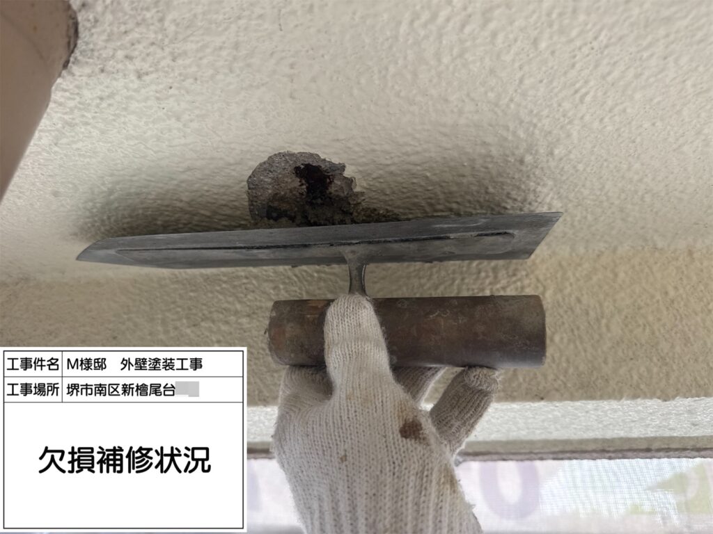 軒天井（欠損補修）
