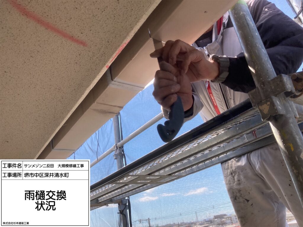樋（交換）