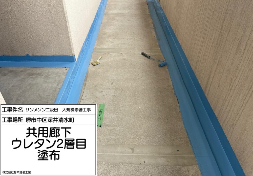 廊下（ウレタン2層目）