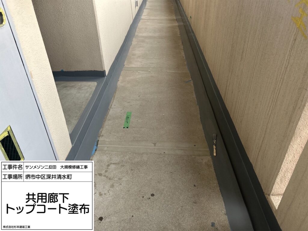 廊下（トップコート塗布）