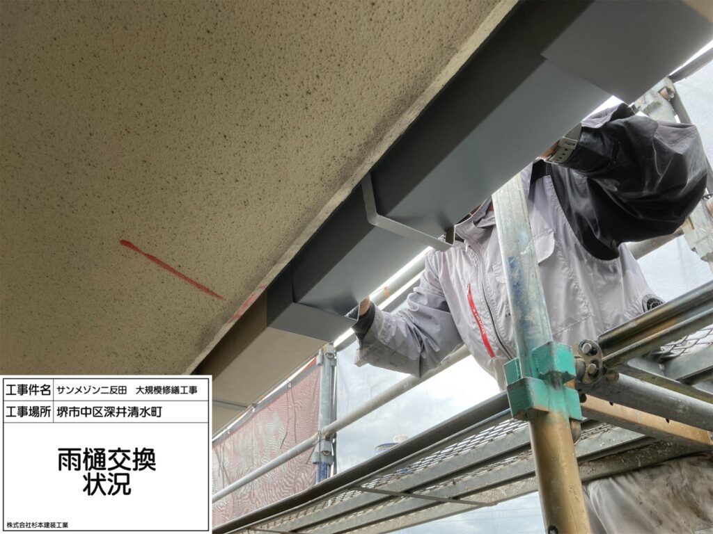 樋（交換）